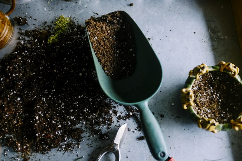 Outdoor projects